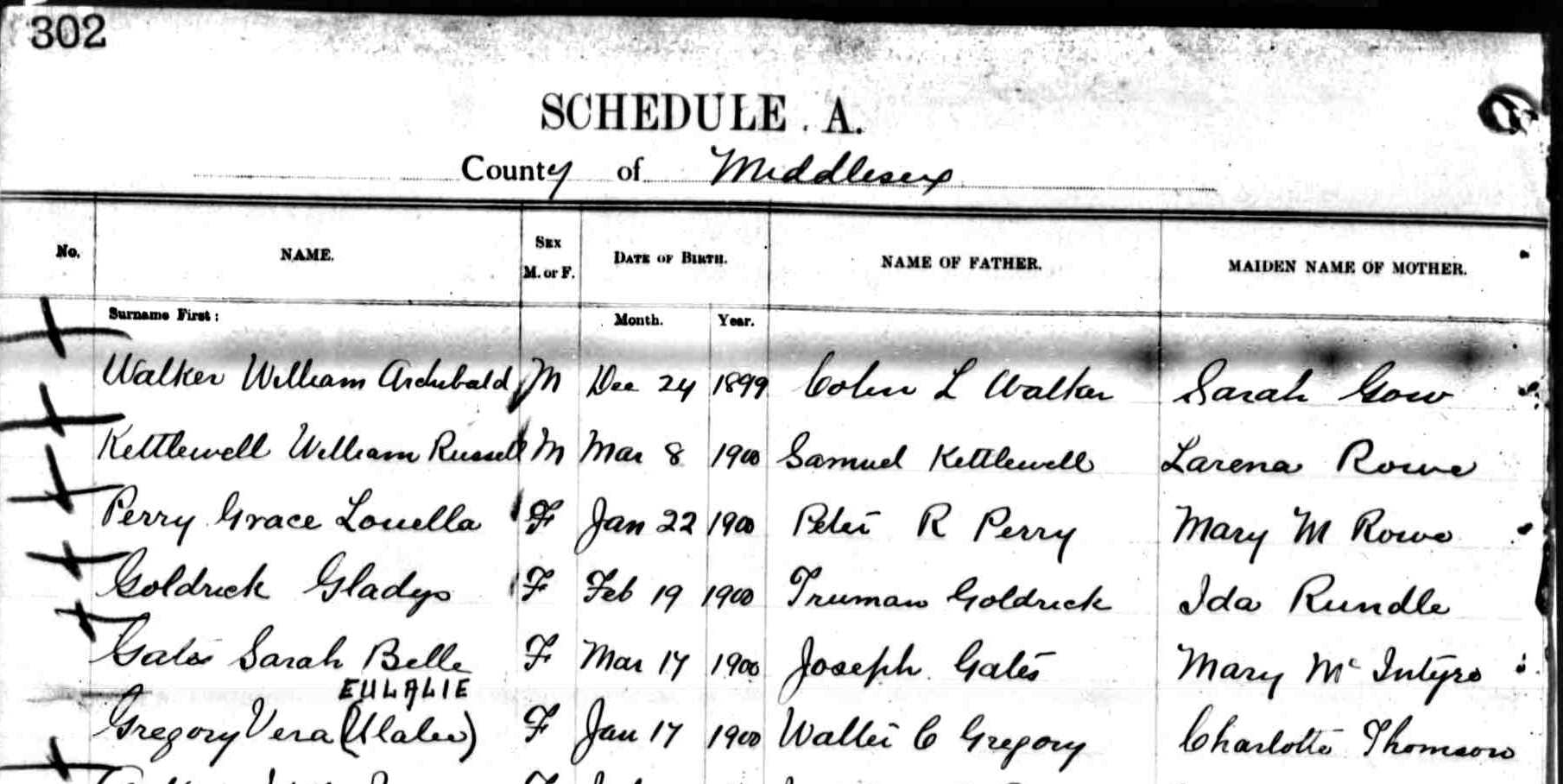 Digitized Birth Record